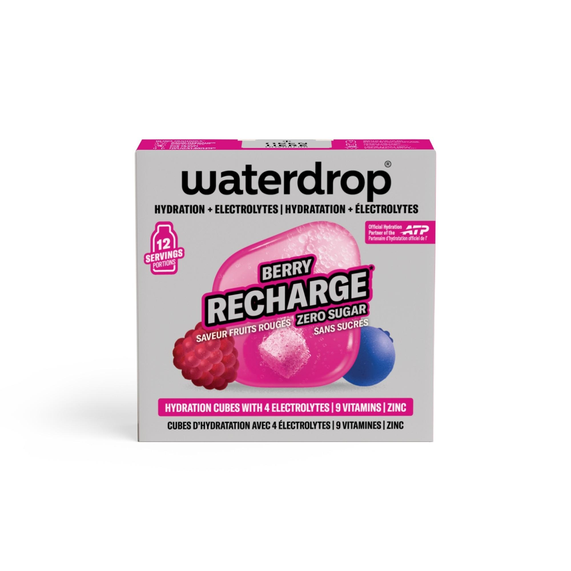 Microlyte BERRY RECHARGE