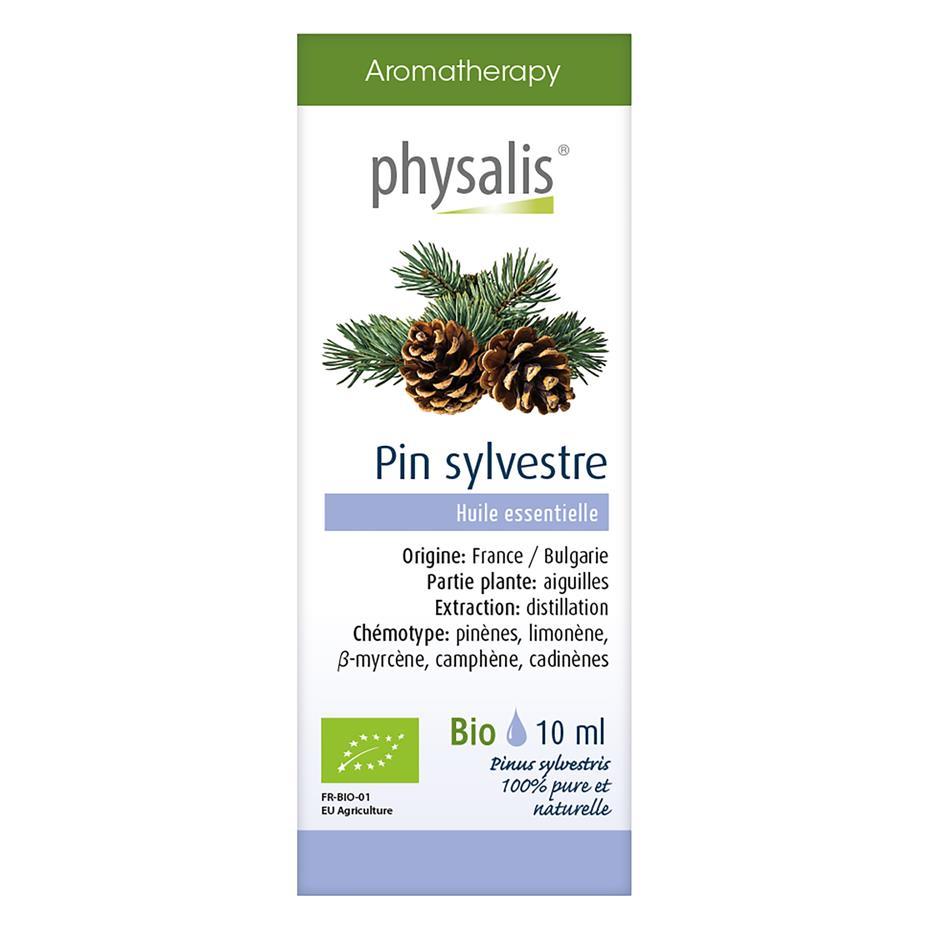 Pin Sylvestre