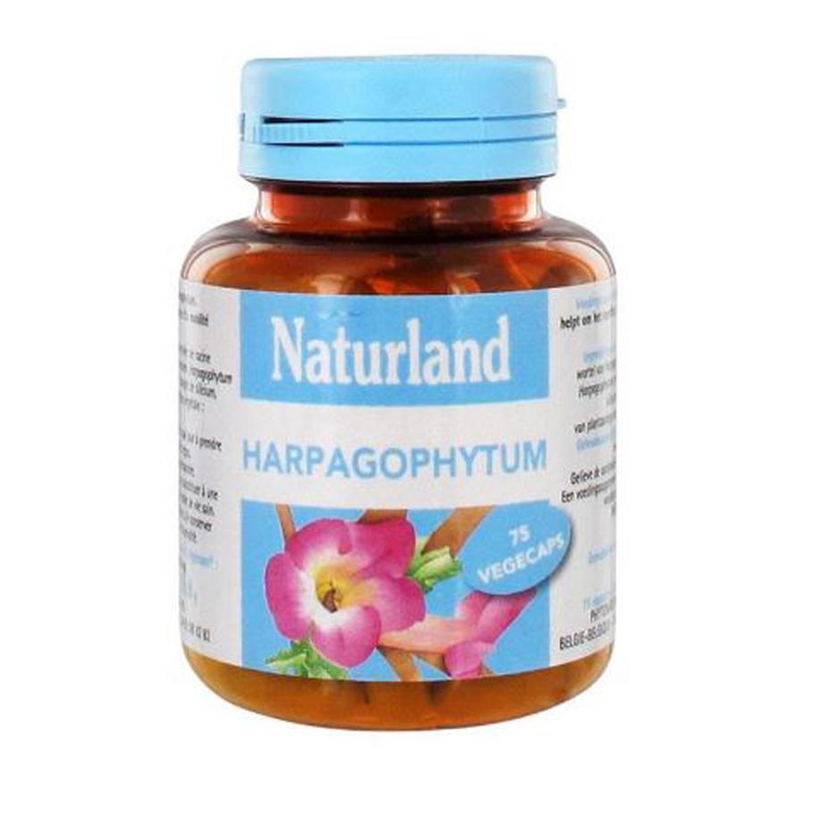 Harpagophytum - 75 végécaps