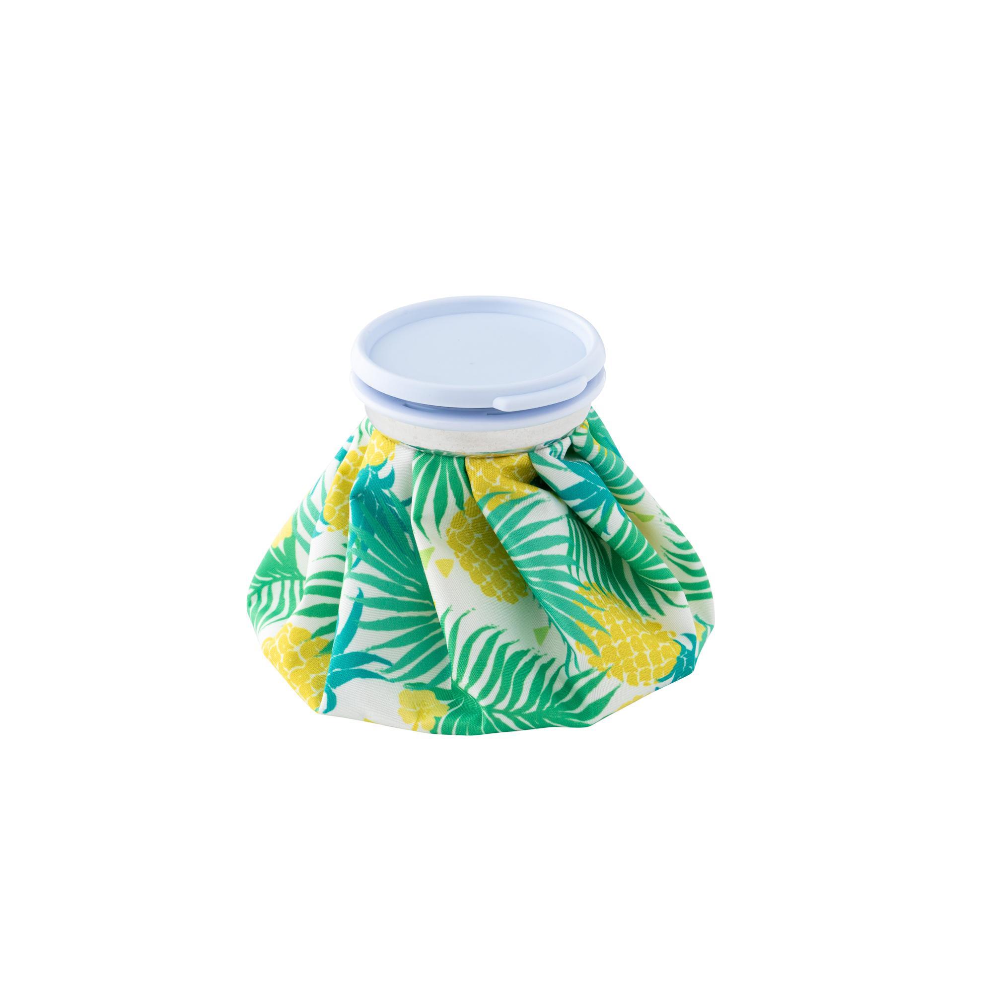 Poche de glace Ananas