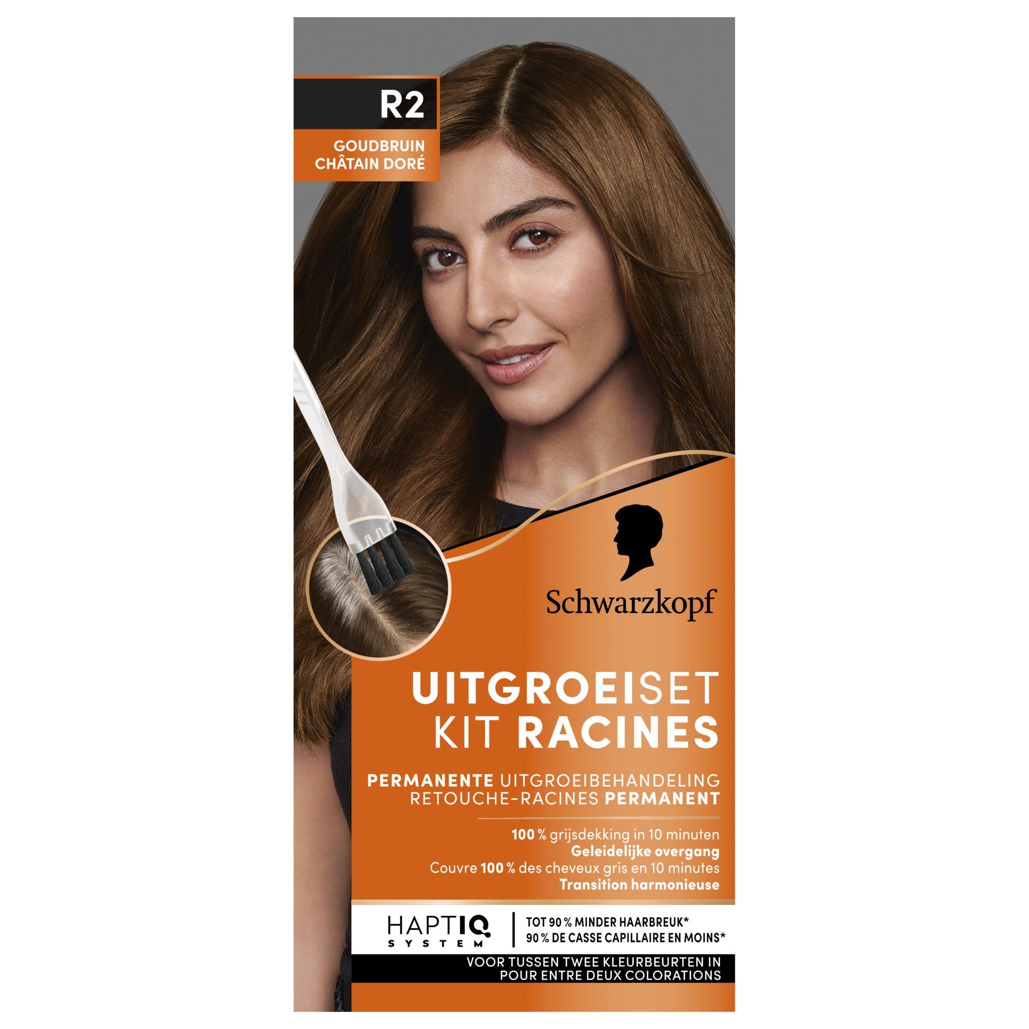 Uitgroeiset R2 Goudbruin