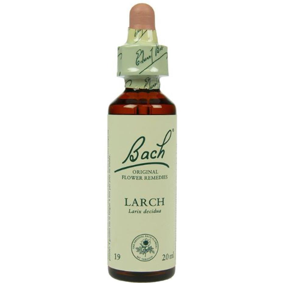 Fleur de Bach No 19 Larch