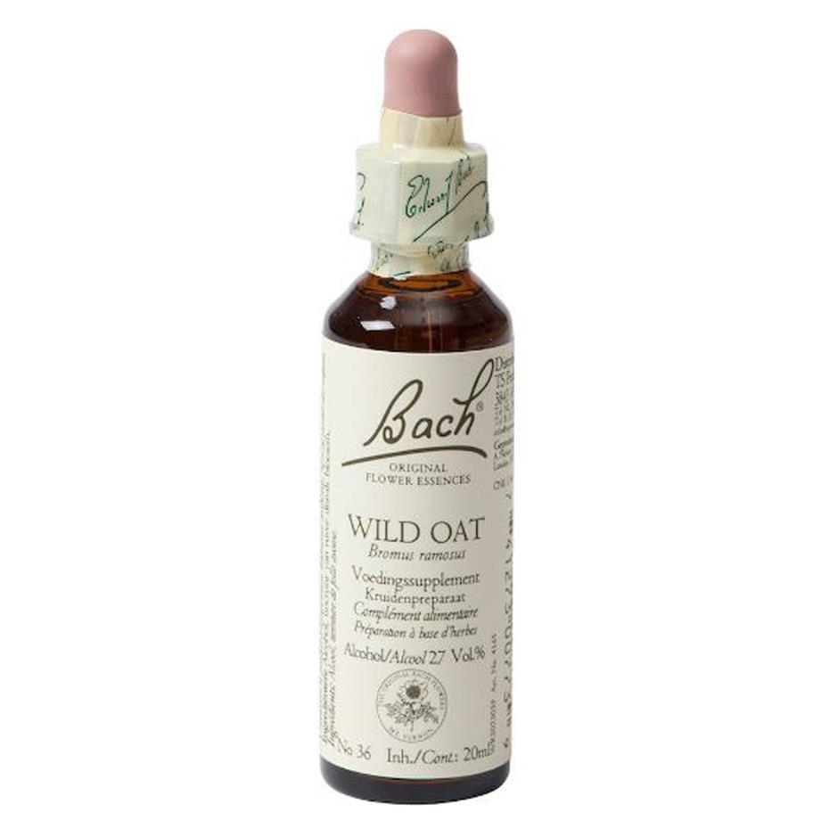 Bach bloesem No 36 Wild Oat