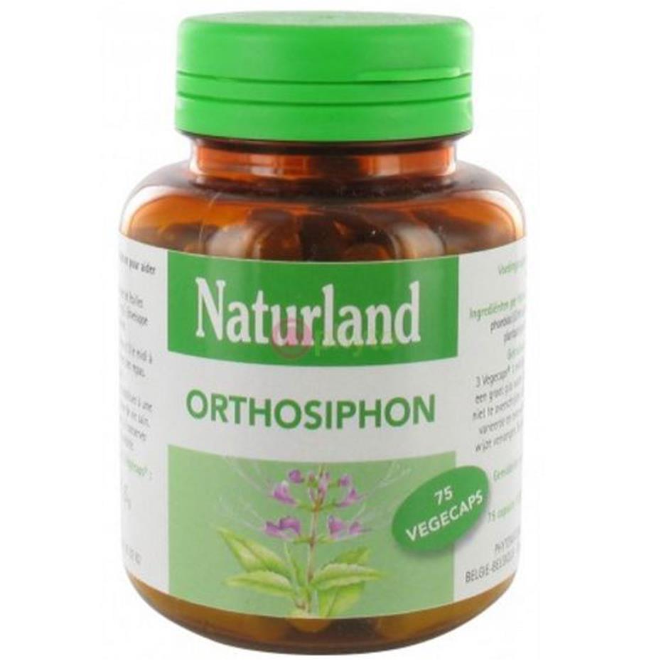 Orthosiphon - 75 végécaps