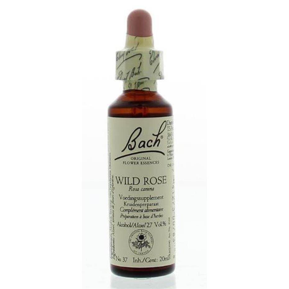 Fleur de Bach No 37 Wild Rose